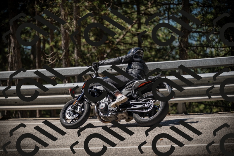 20250531104946-DSC_3200_am_