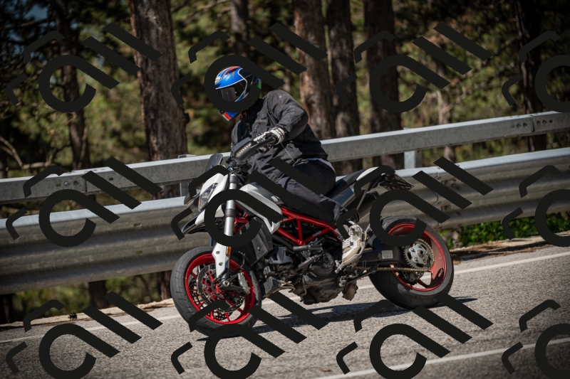 20250531105008-DSC_3202_am_