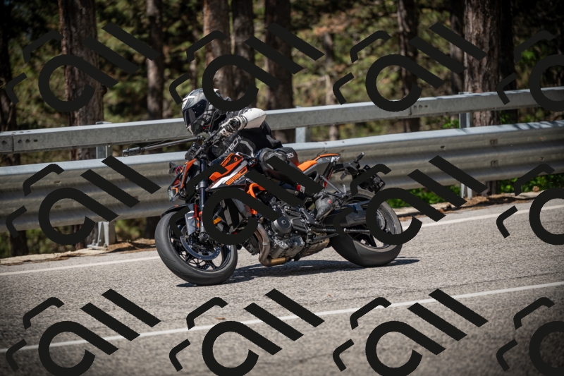 20250531105121-DSC_3230_am_