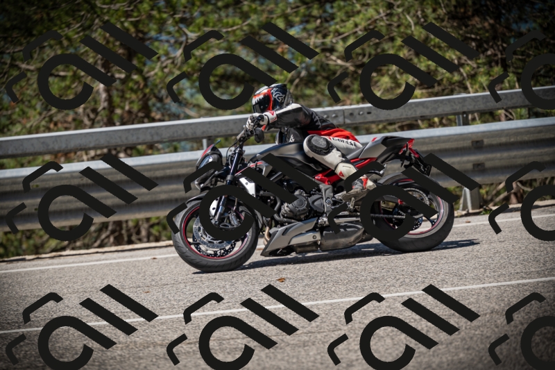 20250531105618-DSC_3261_am_