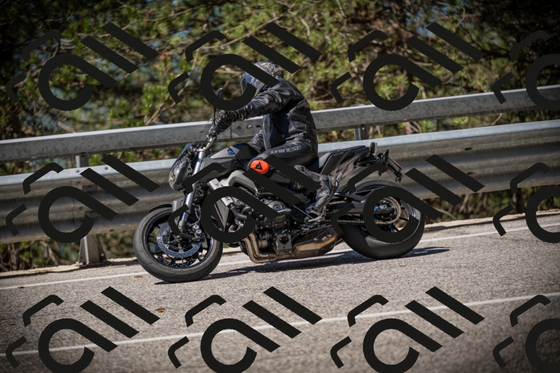 20250531105630-DSC_3264_am_