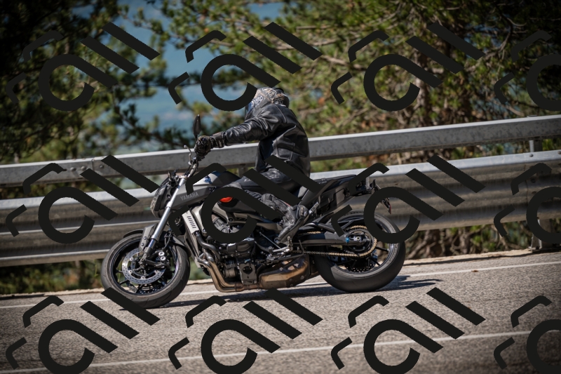 20250531105631-DSC_3265_am_