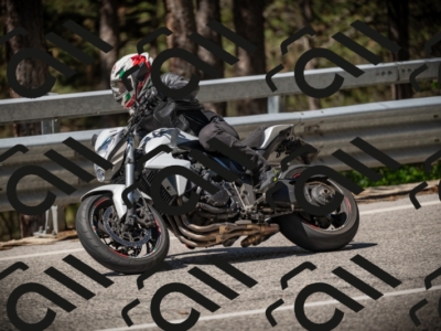 20250531105838-DSC_3267_am_