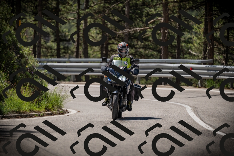 20250531110009-DSC_3281_am_