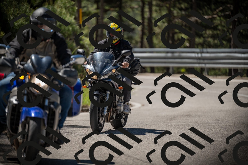 20250531110115-DSC_3308_am_