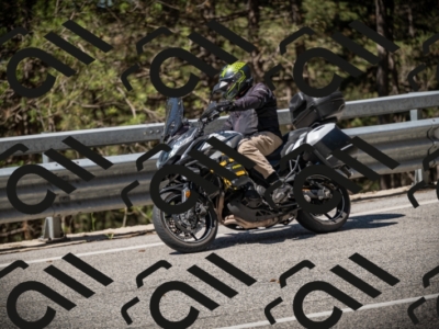 20250531110214-DSC_3309_am_