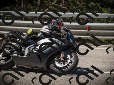 20250531110346-DSC_3323_am_