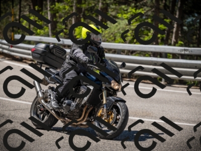 20250531110445-DSC_3330_am_