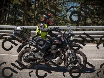 20250531110459-DSC_3338_am_