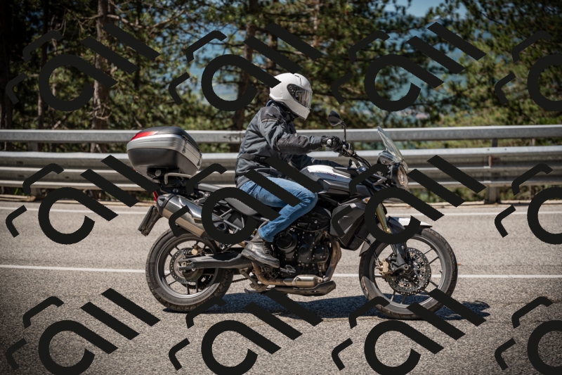 20250531110500-DSC_3339_am_