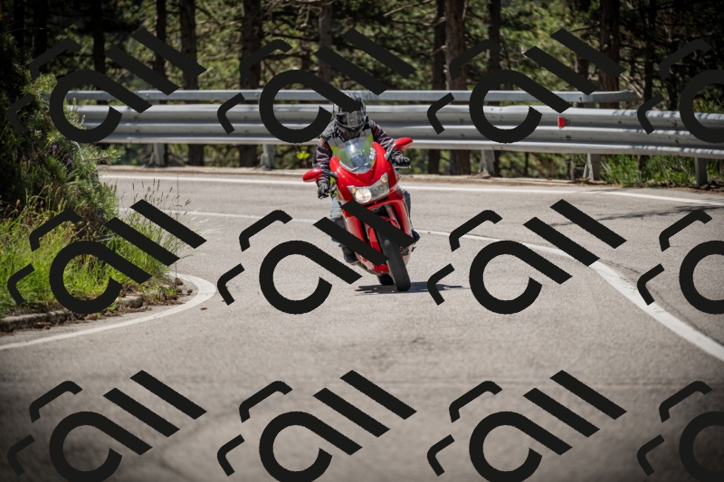 20250531110726-DSC_3344_am_