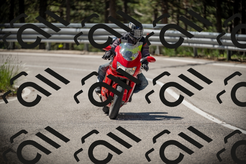 20250531110726-DSC_3345_am_