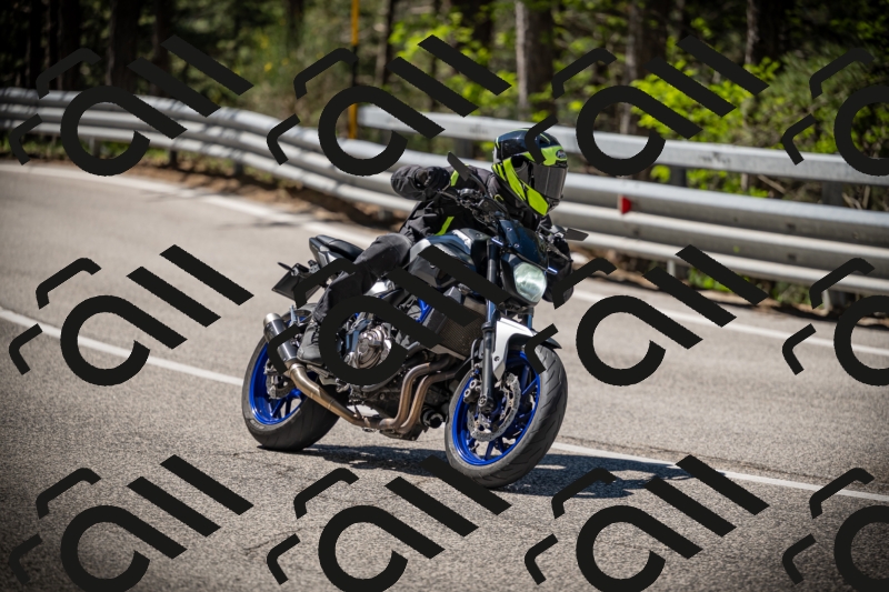 20250531110743-DSC_3353_am_