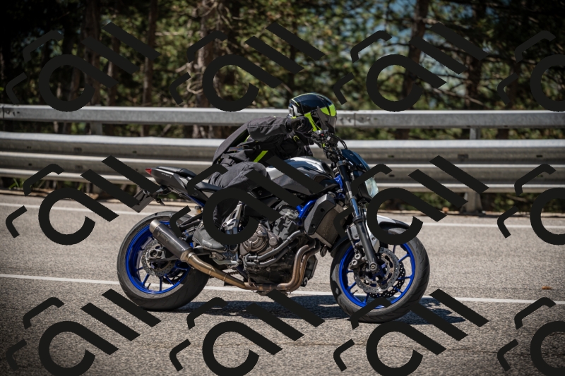 20250531110744-DSC_3354_am_