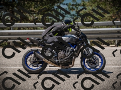 20250531110744-DSC_3355_am_