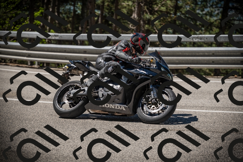 20250531110810-DSC_3369_am_