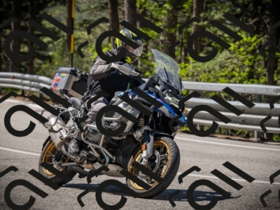 20250531110904-DSC_3408_am_