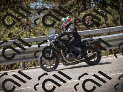 20250531111015-DSC_3440_am_