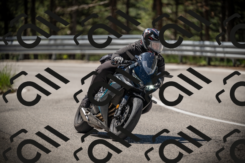 20250531111053-DSC_3446_am_