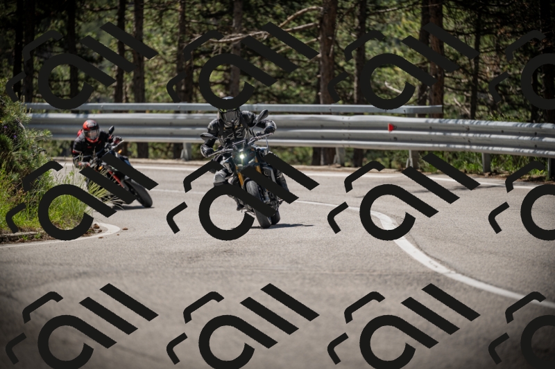 20250531111200-DSC_3457_am_