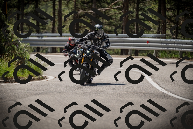 20250531111200-DSC_3458_am_