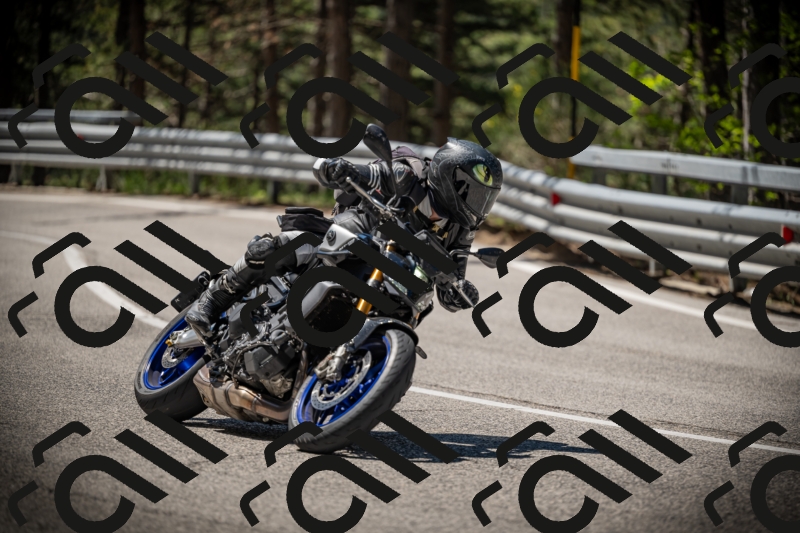 20250531111201-DSC_3460_am_