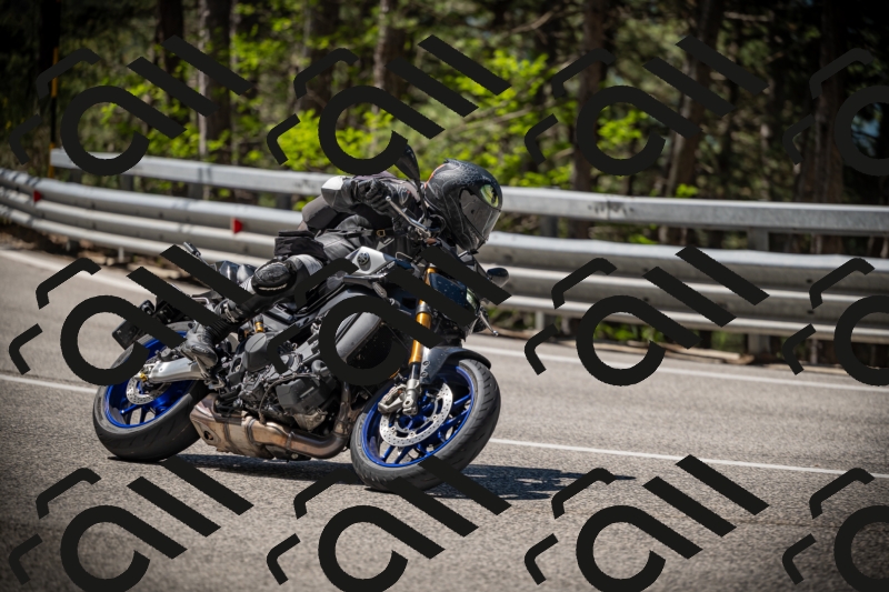 20250531111201-DSC_3461_am_