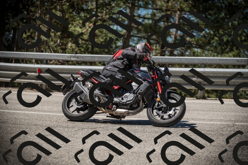 20250531111202-DSC_3462_am_