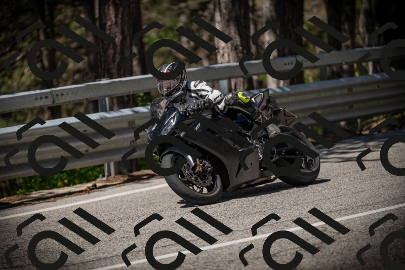 20250531111408-DSC_3482_am_