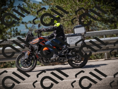 20250531111540-DSC_3491_am_