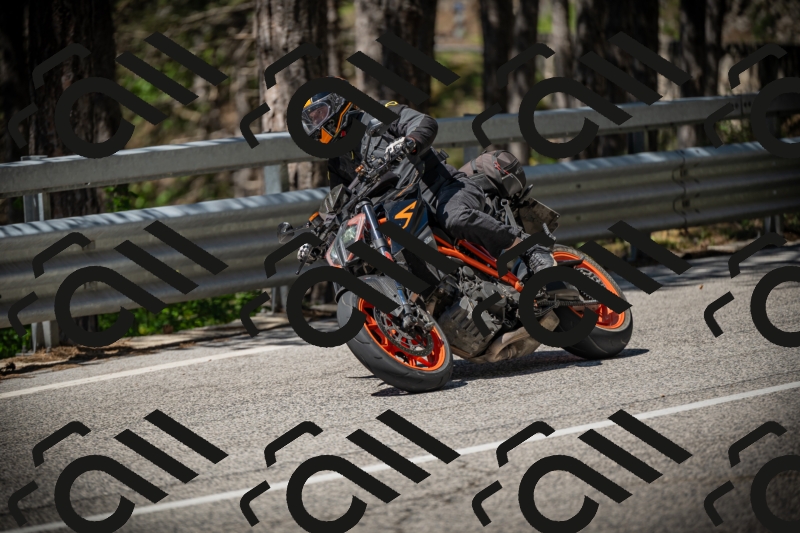 20250531111629-DSC_3492_am_