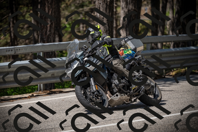 20250531111636-DSC_3496_am_