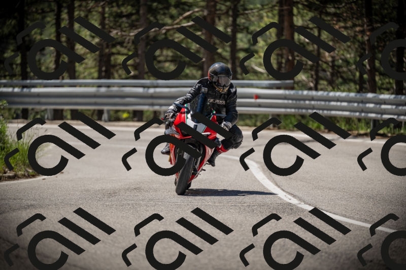 20250531111706-DSC_3504_am_