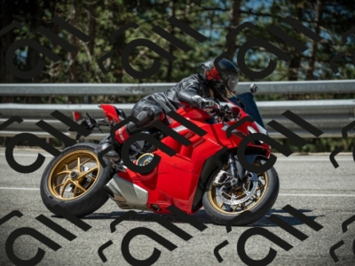 20250531111707-DSC_3506_am_