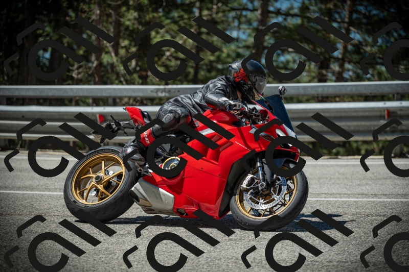 20250531111707-DSC_3506_am_