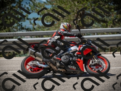 20250531111719-DSC_3515_am_