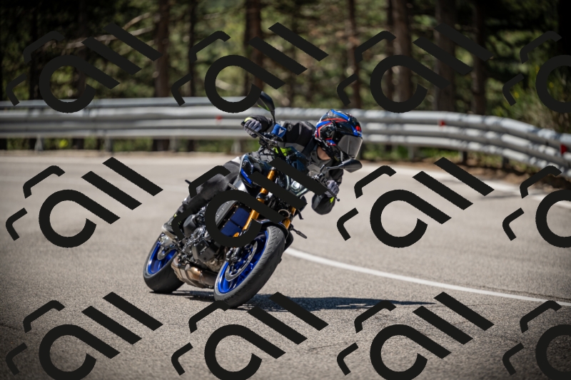 20250531111722-DSC_3516_am_