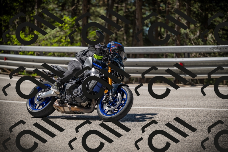 20250531111722-DSC_3517_am_