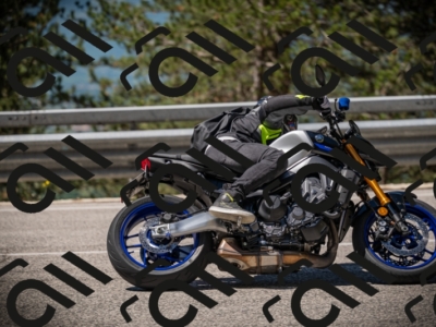 20250531111723-DSC_3518_am_