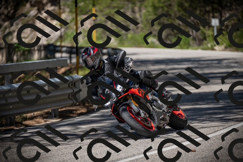 20250531111746-DSC_3520_am_