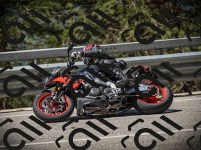 20250531111747-DSC_3522_am_