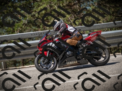 20250531111807-DSC_3533_am_