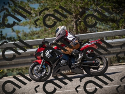 20250531111807-DSC_3534_am_