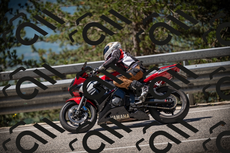 20250531111807-DSC_3534_am_