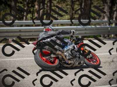 20250531111843-DSC_3542_am_