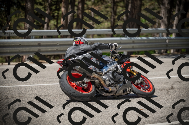 20250531111843-DSC_3542_am_