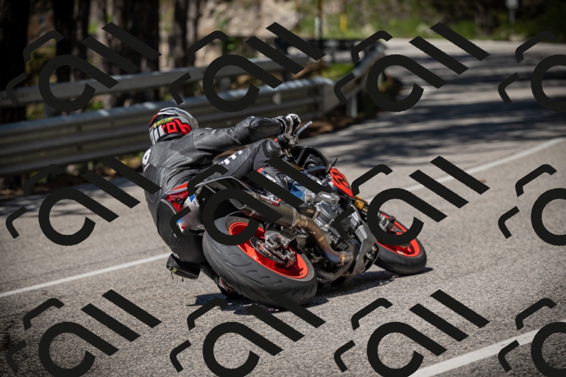 20250531111843-DSC_3543_am_