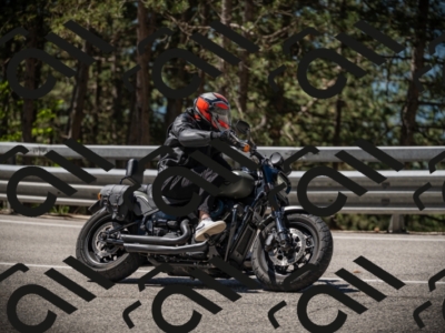 20250531111905-DSC_3548_am_