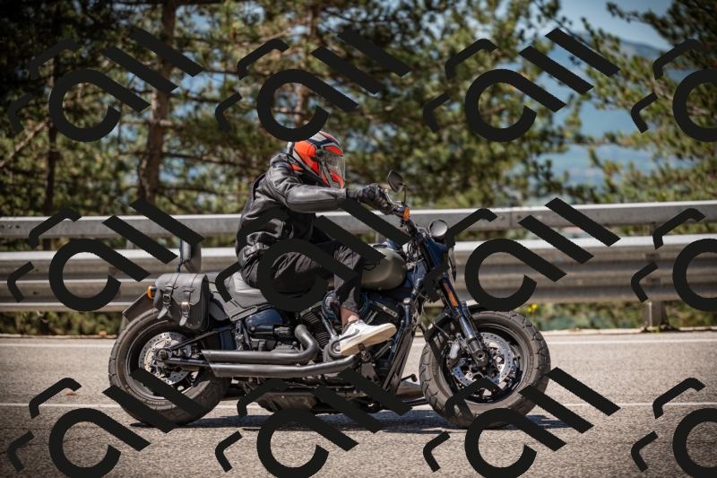 20250531111906-DSC_3549_am_