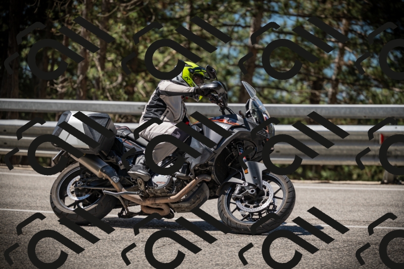 20250531111908-DSC_3550_am_